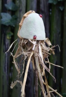 Oorwormpotjes